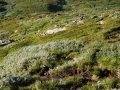 norwegen02-0680