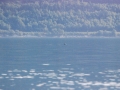 norwegen02-0760