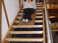 offeneTuer-40