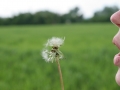 Handwerkswoche2008-077
