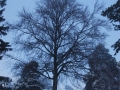 Silvesterfahrt-049