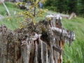 Grenzgaenger-068