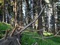 Grenzgaenger-078