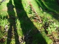 Grenzgaenger-082