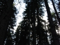 Grenzgaenger-085