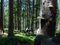 Grenzgaenger-110