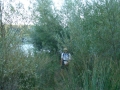 GfViaAppia-117