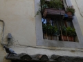 GfViaAppia-153
