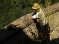 GfViaAppia-159