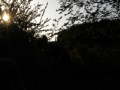 GfViaAppia-214