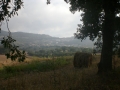 GfViaAppia-224