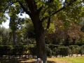 GfViaAppia-389