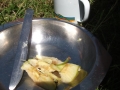 Buside2010-023