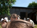 Buside2010-026