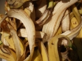 Buside2010-035