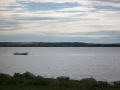 Gf10-0065
