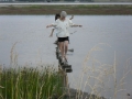 Gf10-0182