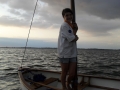 Gf10-0226