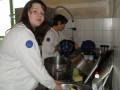 gitarrenkurs-11-049.jpg