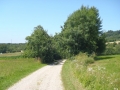 Trufa-Aquila-11-049.jpg