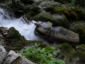 grossfahrt-11-454.jpg
