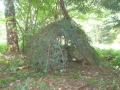 gf-polen-01-015.jpg