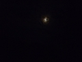 gf-polen-01-020.jpg