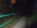 gf-polen-01-057.jpg