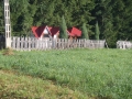 gf-polen-01-084.jpg