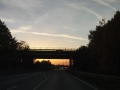 ringthing-12-006.jpg