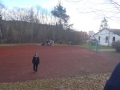 wila-12-01-039.jpg