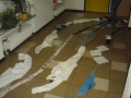 wila-12-02-015.jpg