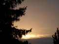 wila-12-03-008.jpg
