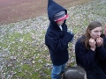 wila-12-03-110.jpg
