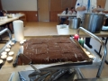 wila-12-03-115.jpg