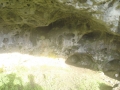 sifa-corax-13-080.jpg