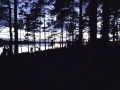 gf-02-13-072.jpg