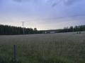 gf-02-13-350.jpg