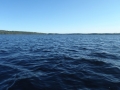 gf-03-13-067.jpg