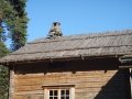 gf-03-13-113.jpg