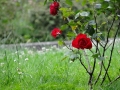 DSC02187