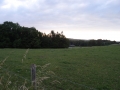 DSC01948