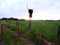 DSC01950