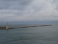 DSC02306
