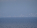 DSC02337