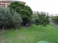 DSC02346