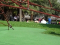 DSC02364