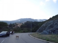 DSC02388