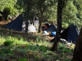 DSC02405