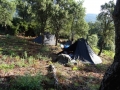 DSC02406
